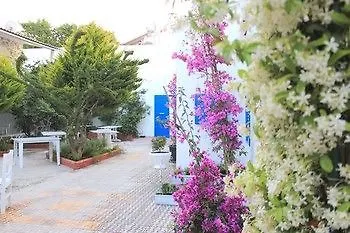 Lavinya